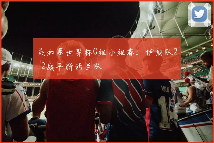 美加墨世界杯G组小组赛：伊朗队2_2战平新西兰队