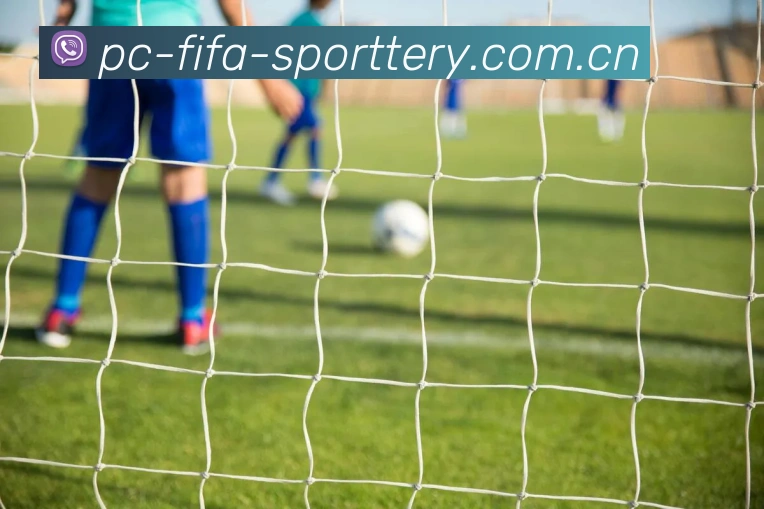 FIFA 官方数据授权认证